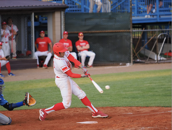 Polish baseball fans